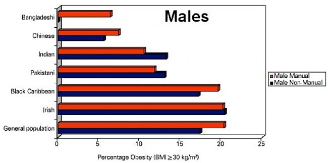 Percentage of Obese Males