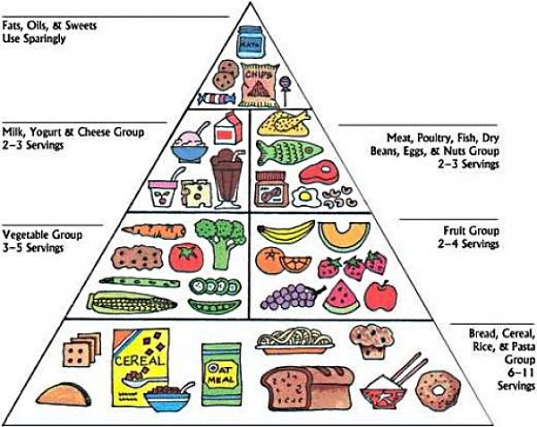 One of the many forms of the Food Plate Guide for healthy eating
