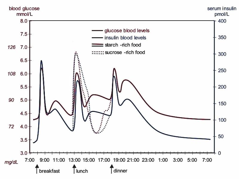 The extra high peak in blood sugar after eating sucrose in clearly shown, as is the drop below normal levels