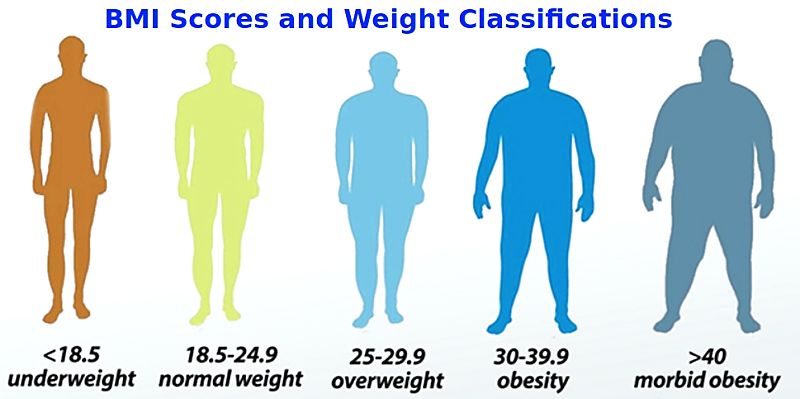 BMI scores and weight classifications