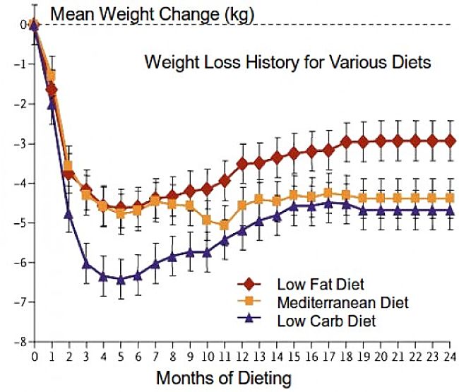 Changes in weight with various diets. How dieting fails