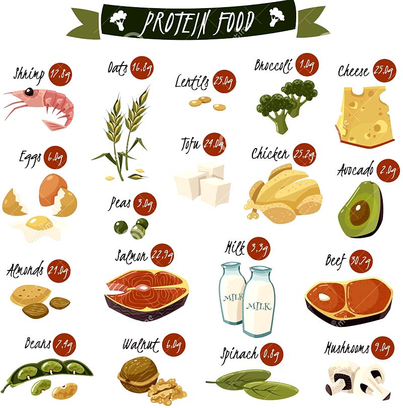 High protein foods, animal and vegetable.