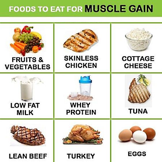 Foods ideal for muscle gain