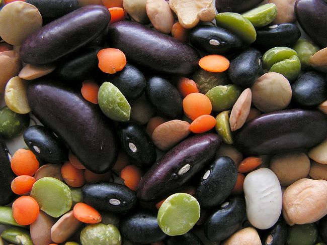 Most beans are high calorie but are good sources of fiber and Vitamins