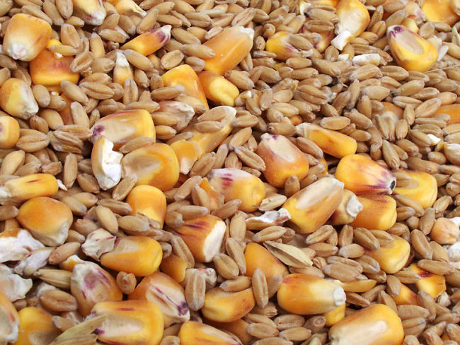 Grains are a great source of fiber - learn which grains are best