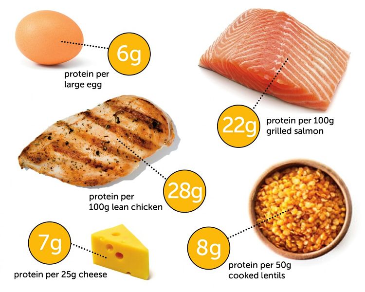 Protein levels in various high protein foods