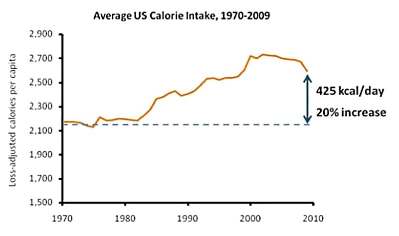 How average calorie intakes have changed from 1970 - 2010. The start coincided with major changes in food processing in the 1970's