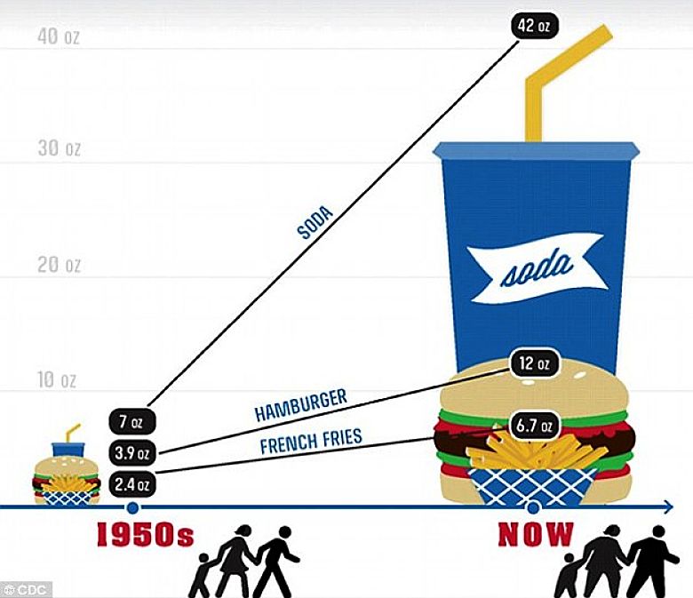 Graph of changes in portion sizes since the 1950's